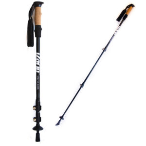 Short and extended view of telescopic Nordic walking sticks