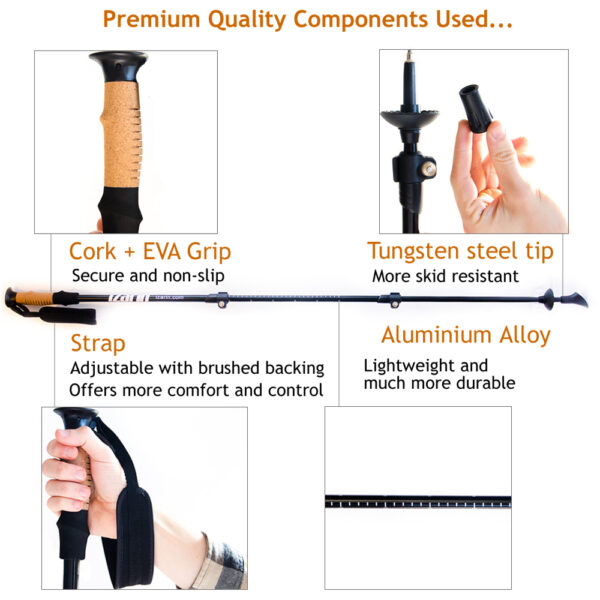 Hiking pole features and components